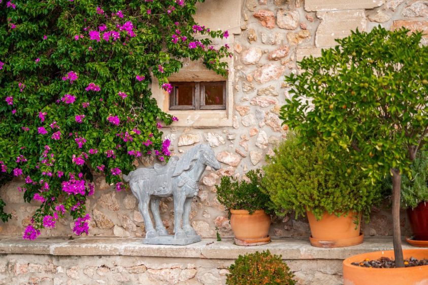 Why a Gardener Is Essential for Year-Round Luxury Property Maintenance in Mallorca